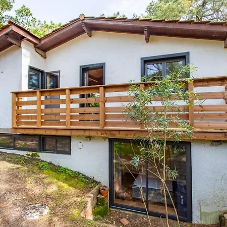Villa Charmante Maison Dans Les 44 Hectares : Cap Ferret *